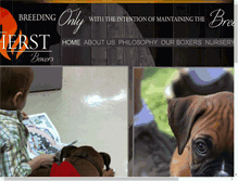 Tablet Screenshot of amherstboxers.com